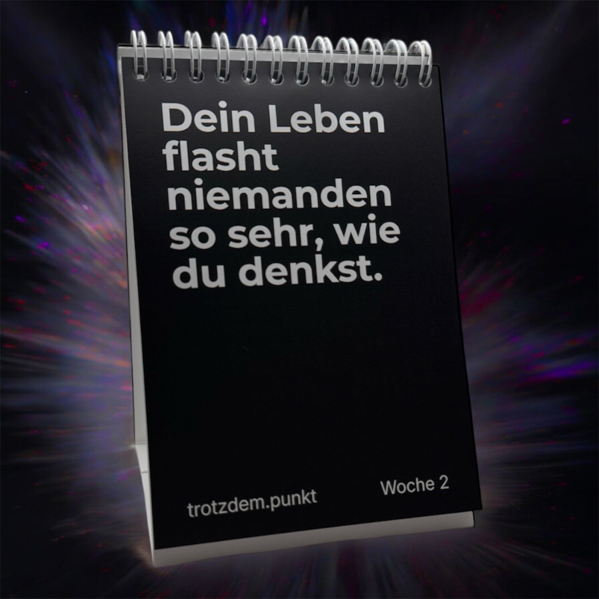 trotzdem.punkt - Schwarzer Humor Edition